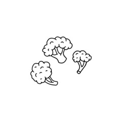 Broccoli or curly parsley in ink sketch vector illustration isolated on white