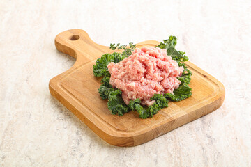 Raw pork minced meat for cooking