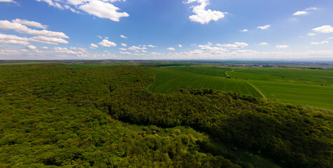Obraz premium Aerial wide panoramic view of dark mountain hills covered with green mixed pine and lush forest in evening