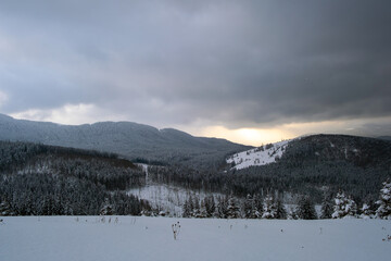 Gloomy winter landscape with mountain hills covered with evergreen pine forest after heavy snowfall on cold quiet evening