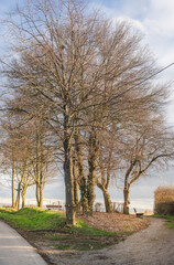 Obraz premium Landschaft in Aachen: Eilendorf 