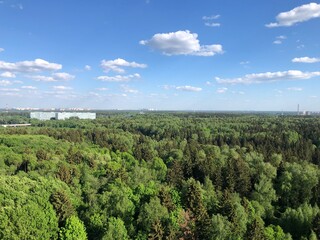 Fototapeta na wymiar a view down on the forest and the city. summer, moscow region