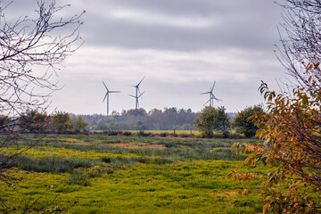 Der Moorerlebnispfad Ahlenmoor im Landkreis Cuxhaven.
