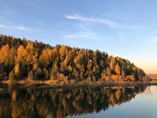 Obraz premium autumn forest near the lake evening sun