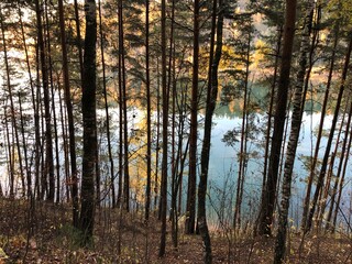 view of the lake located behind the trees. autumn, evening