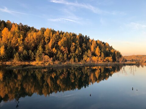 autumn forest on Dzerzhinsky lake, sunny evening