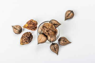 Ripe Juglans cordiformis Maxim or heart-shaped walnut isolated on white background