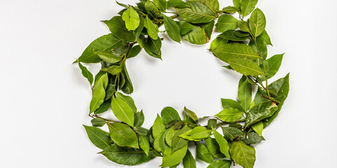 Laurel wreath of fresh leaves isolated on white background