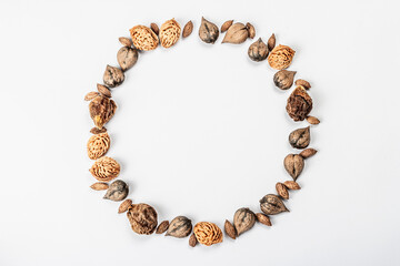 Wreath or Frame from Juglans cordiformis Maxim or heart-shaped walnut isolated on white background