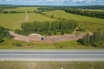 Obraz premium The deforestation of Siberia: economic and environmental problems in russian forest management.