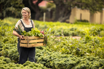 Self-sufficient organic farmer holding a box full of fresh produce