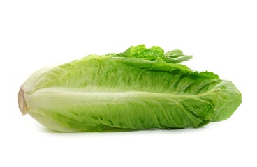cabbage isolated on white background