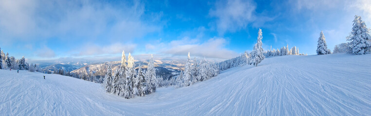 view of snowed ukrainian carpathian mountains