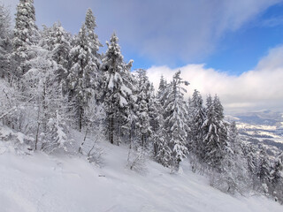 snowed ukrainian carpathian mountains