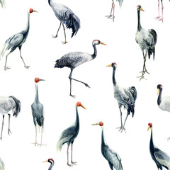 Seamless pattern with cranes on a white background, watercolor illustration, paper design, birds