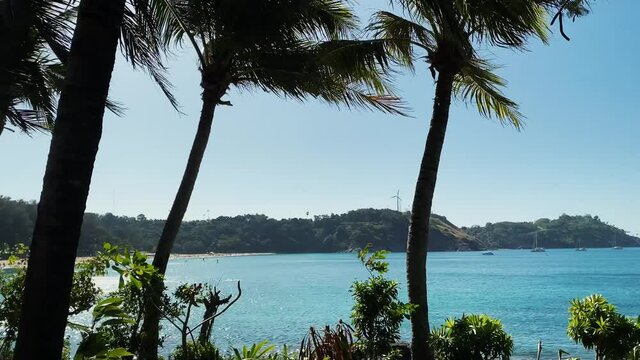 Branches of palm trees are developed by strong wind. Dense greenery of coconut palms moves against the background of blue sky. Shore of the island. Yachts and boats can be seen on blue water of sea