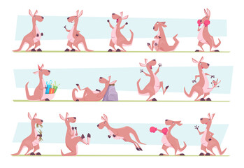 Kangaroo. Australia authentic animals jumping in wild flora exact vector animal character in various poses