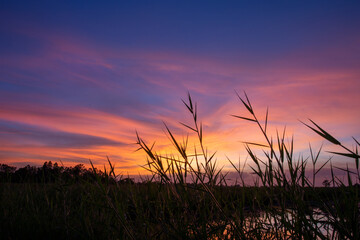 Fototapeta na wymiar Sunset silhouette landscape In the winter of Asia, Thailand