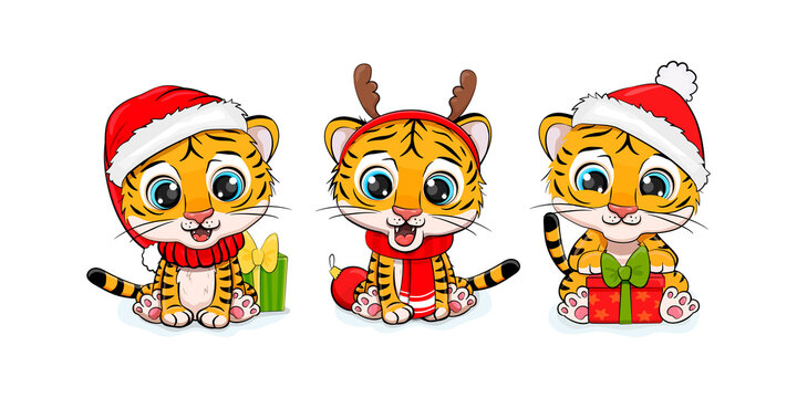 Collection of Christmas tiger, Merry Christmas illustration of cute tigers with accessories, hats, scarves and gifts. Set of chinese tiger