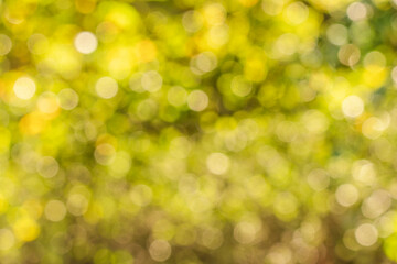 Obraz premium yellow bokeh background
