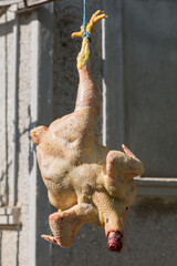 Geschlachtetes nacktes Huhn hängend an einer Schnur