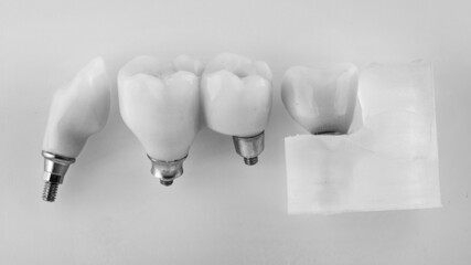 Temporary dental crowns of chewing teeth, top view in black and white style