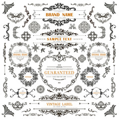 Set of Vintage Decorations Flourishes Elements. 