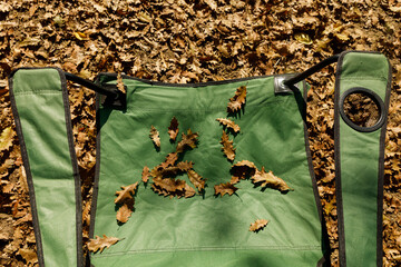 fall leaves on a folding camp chair