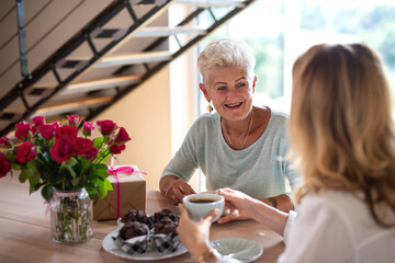 Happy senior mother having coffee with adult daughter indoors at home, sitting and talking.
