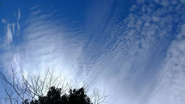 偏西風」の写真素材 | 95件の無料イラスト画像 | Adobe Stock