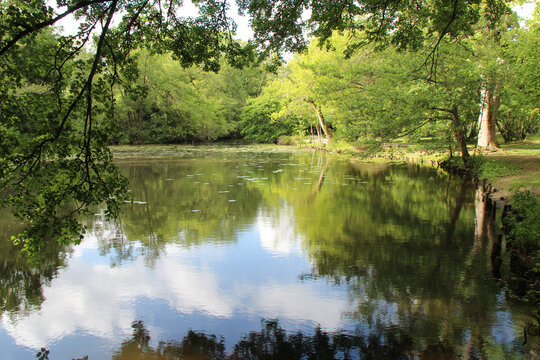 majolan park - blanquefort - france
