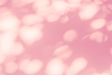 shadow and light bokeh pink background of leaf shadow tree branch on white wall texture,