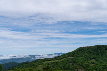 初夏の茶臼山高原