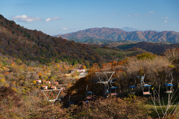 紅葉する茶臼山高原