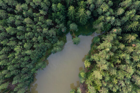 Drone view of small lake in green pine forest