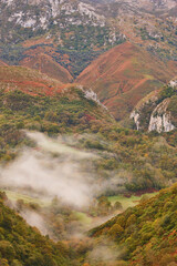 Autumn landscape in Picos de Europa mountain range, Asturias. Spain