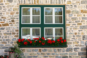 Fototapeta na wymiar Window with flowering geraniums