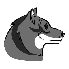 vector color silhoutte wild animal forest wolf predator head isolated logo symbol dangerous canine emblem