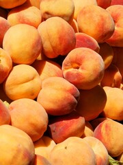 golden,sweet juicy peaches close up