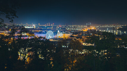 Obraz premium Ferris wheel in the night city