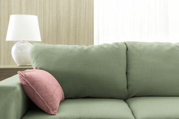 Fototapeta na wymiar Living room sofa cushion, pink and green