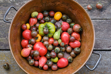 Tomatoes of various shapes and colors in a copper bowl on wooden boards. 