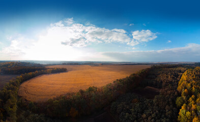 Aerial wide view of lake at sunrise in autumn. Meadows, trees at dawn. Colorful aerial landscape of river coast at sunset in fall. Plowed fields, harvested crops, dry corn. Horodok Ukraine