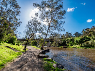 Along The Bank