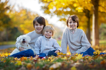 Fototapeta premium Happy children, playing with pet dog in autumn park on a sunny day