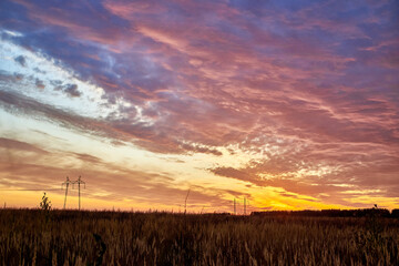 Bright beautiful autumn sunset. Rural landscape.