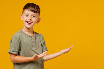 Little small happy boy 6-7 years old in green casual t-shirt point hands arms aside on workspace...