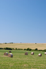 Rolled bales of hay in a field under a blue sky