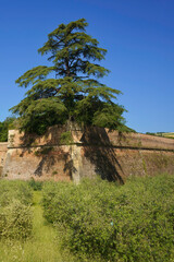Obraz premium Terra del Sole, Forli province: medieval walls