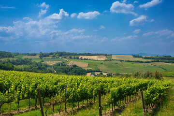 Fototapeta na wymiar Country landscape near Meldola and Bertinoro, Emilia-Romagna